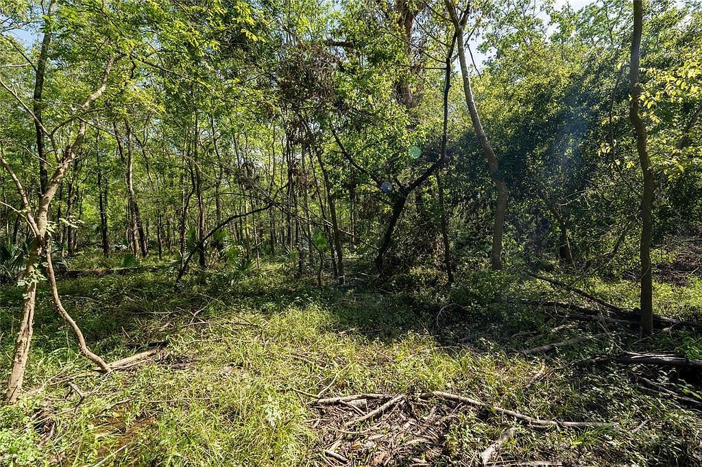 11623 & 11625 Cool Shadows Dr Houston, TX 77044 - Thumbnail 4