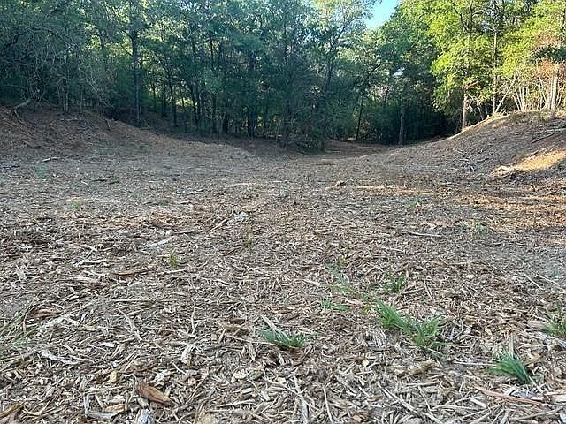 160 Wailupe Cir Bastrop, TX 78602 - Thumbnail 4