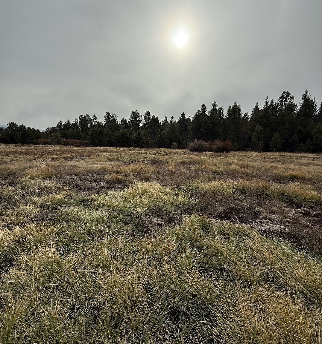 0 National Forest Rd #7646 Chiloquin, OR 97624 - Thumbnail 4