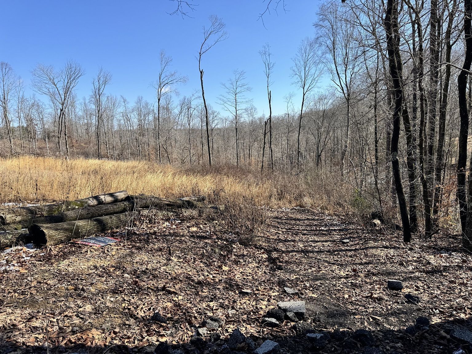 1 Carney Winters Rd LOT 1 Ashland City, TN 37015 - Thumbnail 4