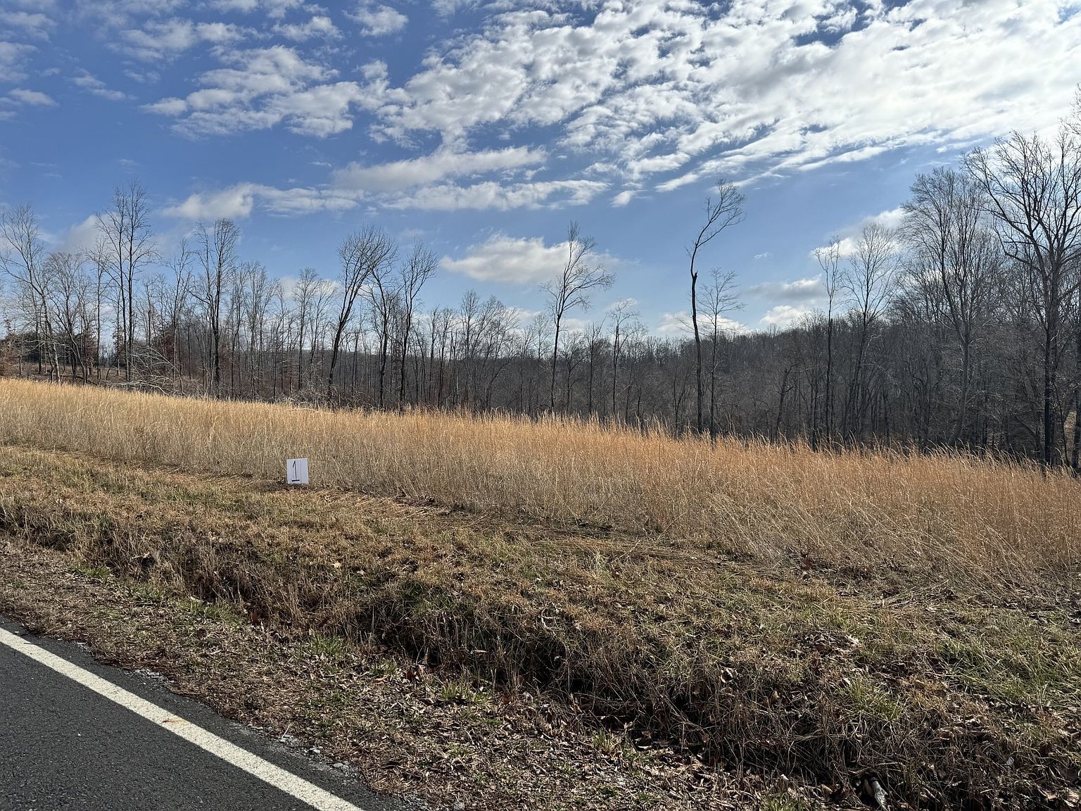 2 Carney Winters Rd LOT 2 Ashland City, TN 37015 - Thumbnail 4