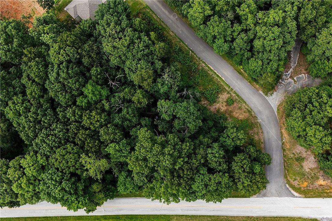 12 Grampian Dr Bella Vista, AR 72715 - Thumbnail 4