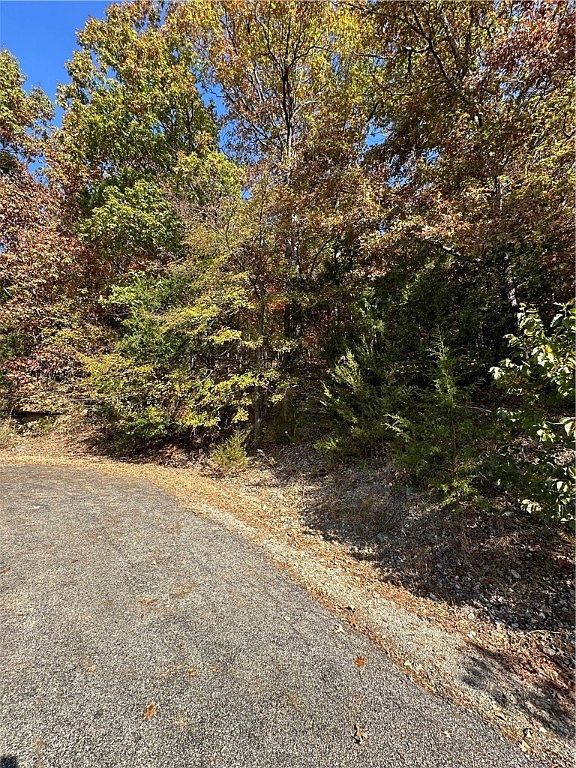 Woodside Ln #1 Eureka Springs, AR 72631 - Thumbnail 4