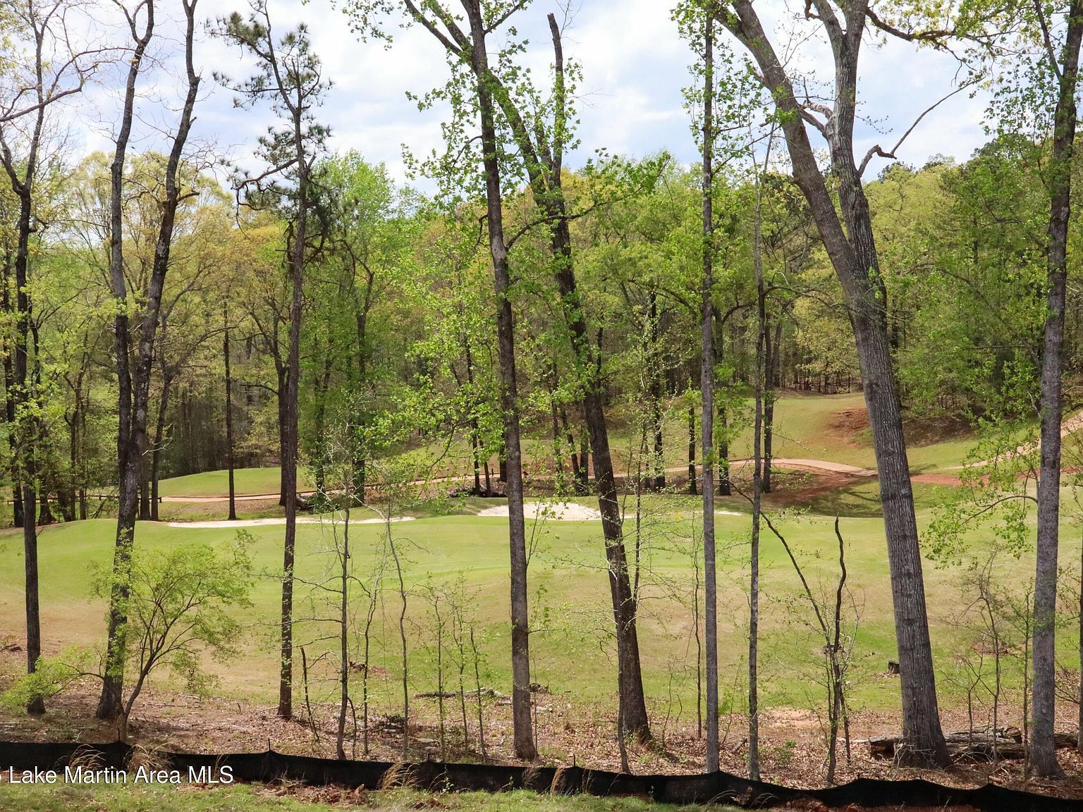 256 Eagle Ridge Ln Dadeville, AL 36853 - Thumbnail 4