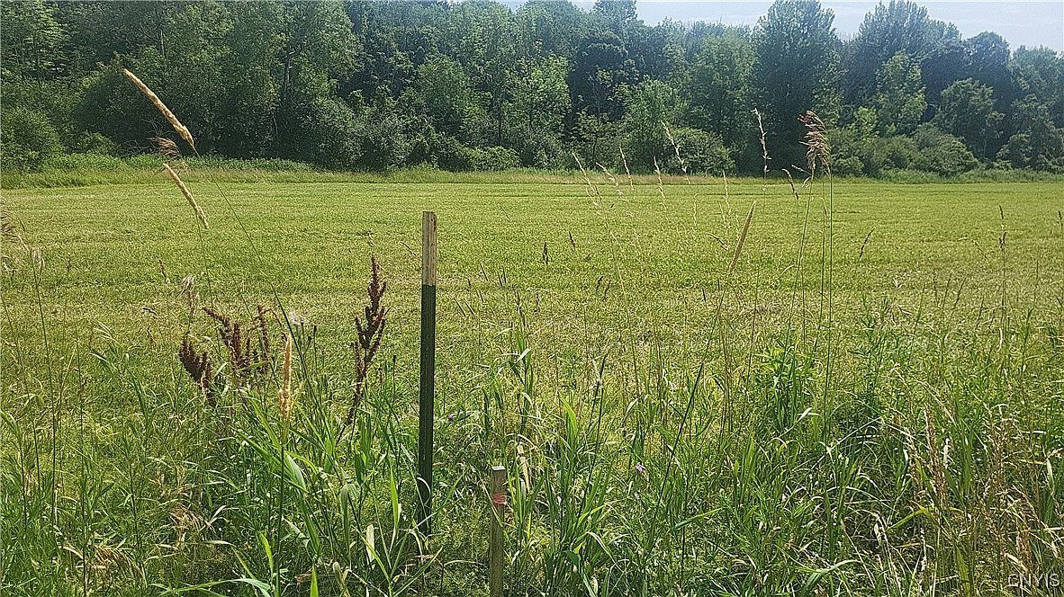 LOT 3 County Route 91 #34 Adams, NY 13605 - Thumbnail 4