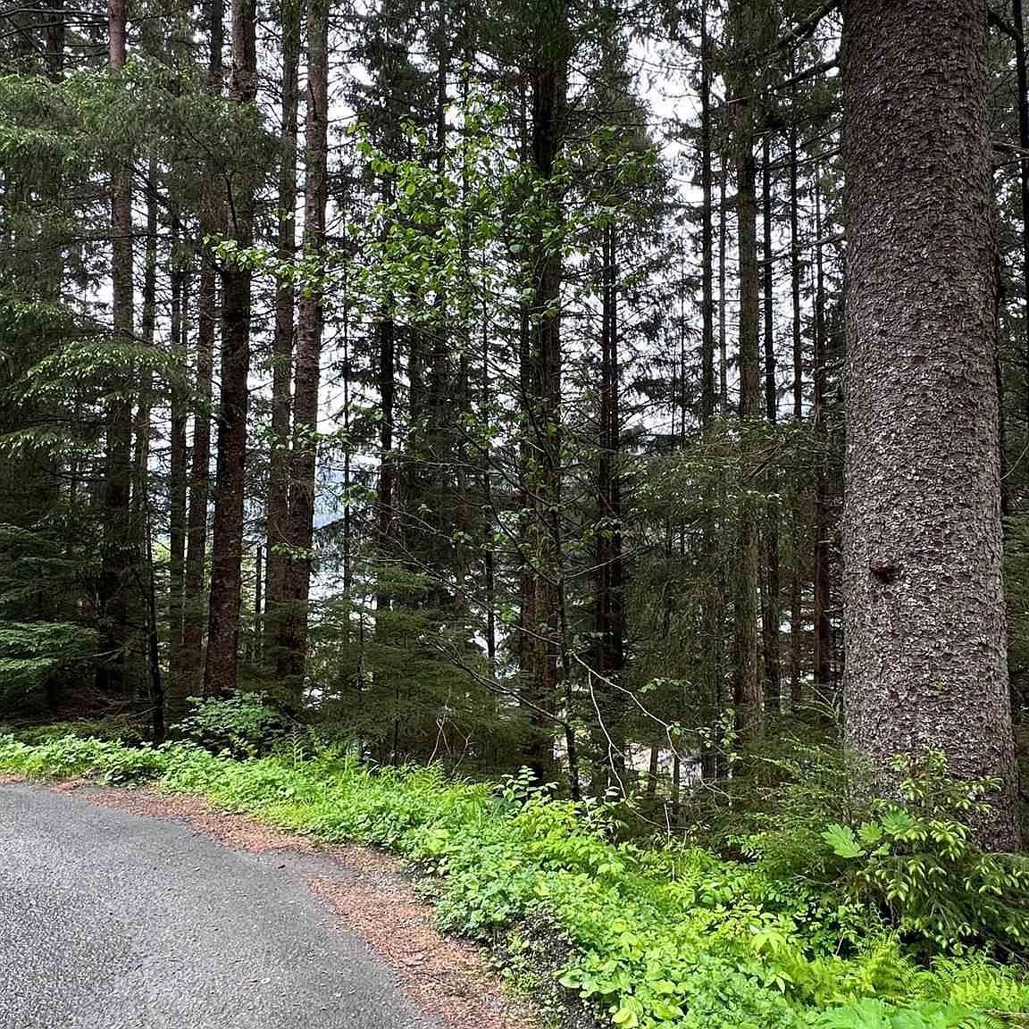 1853 Bartlett Ave Juneau, AK 99801 - Thumbnail 4