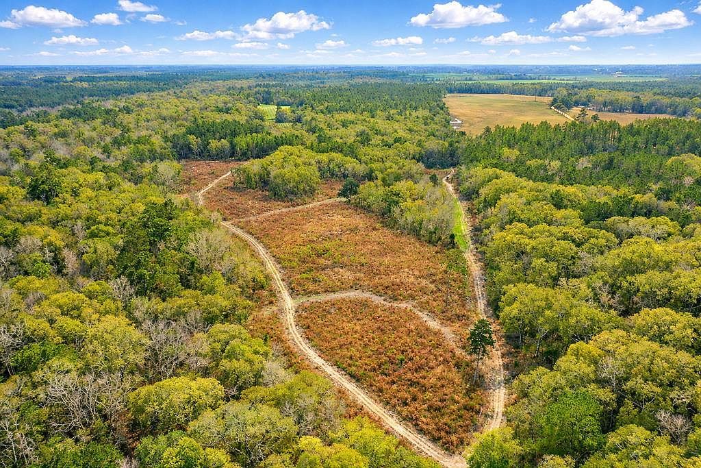 0 Omega Eldorado Rd Tifton, GA 31793 - Thumbnail 4