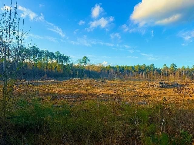 0 Ian Johnson Rd Boyce, LA 71409 - Thumbnail 4