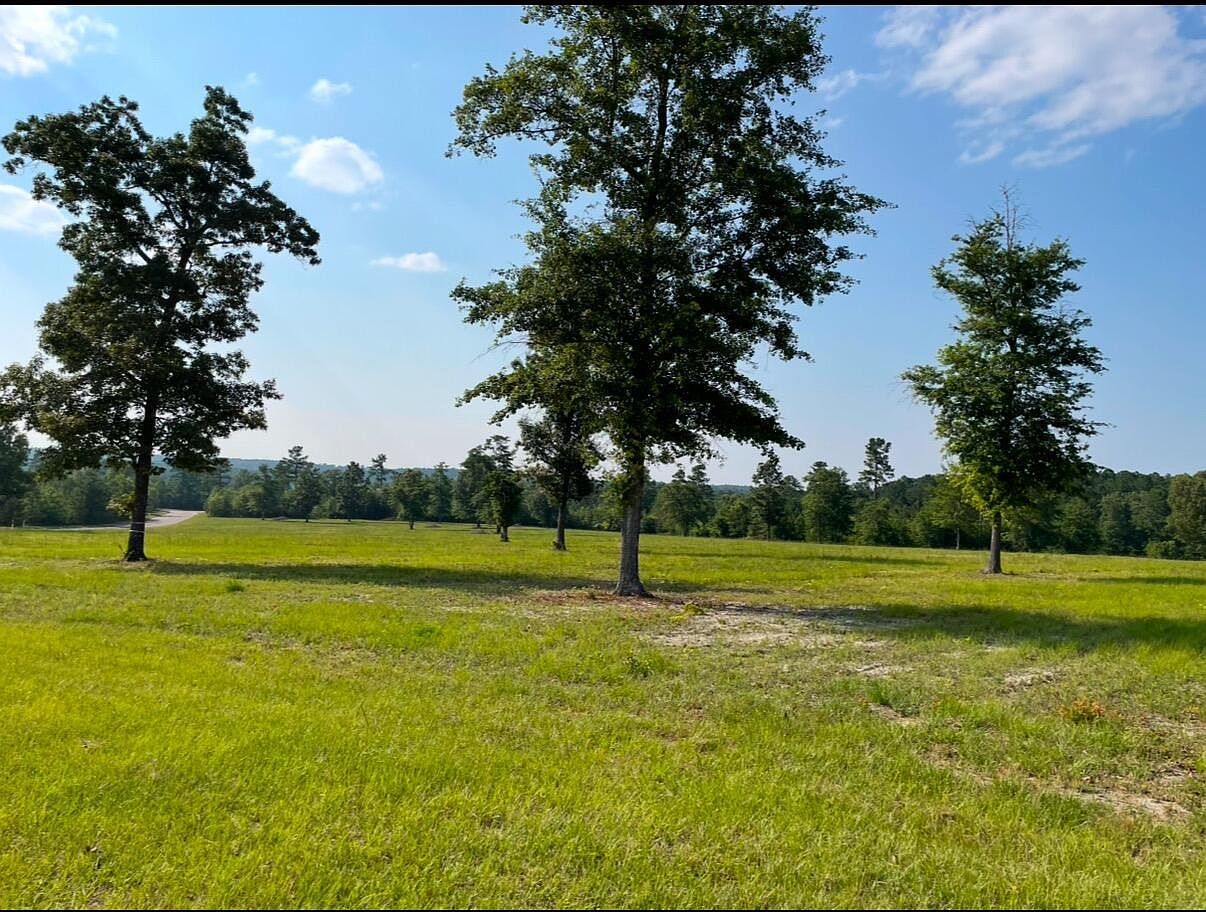 0 Cooks Pond Rd Williston, SC 29853 - Thumbnail 4