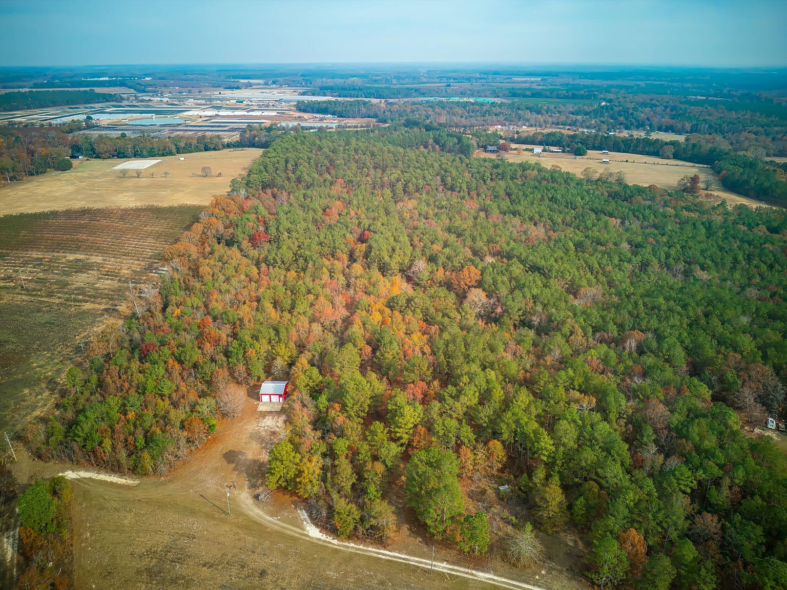 0 Windy Ridge Rd Trenton, SC 29847 - Thumbnail 4