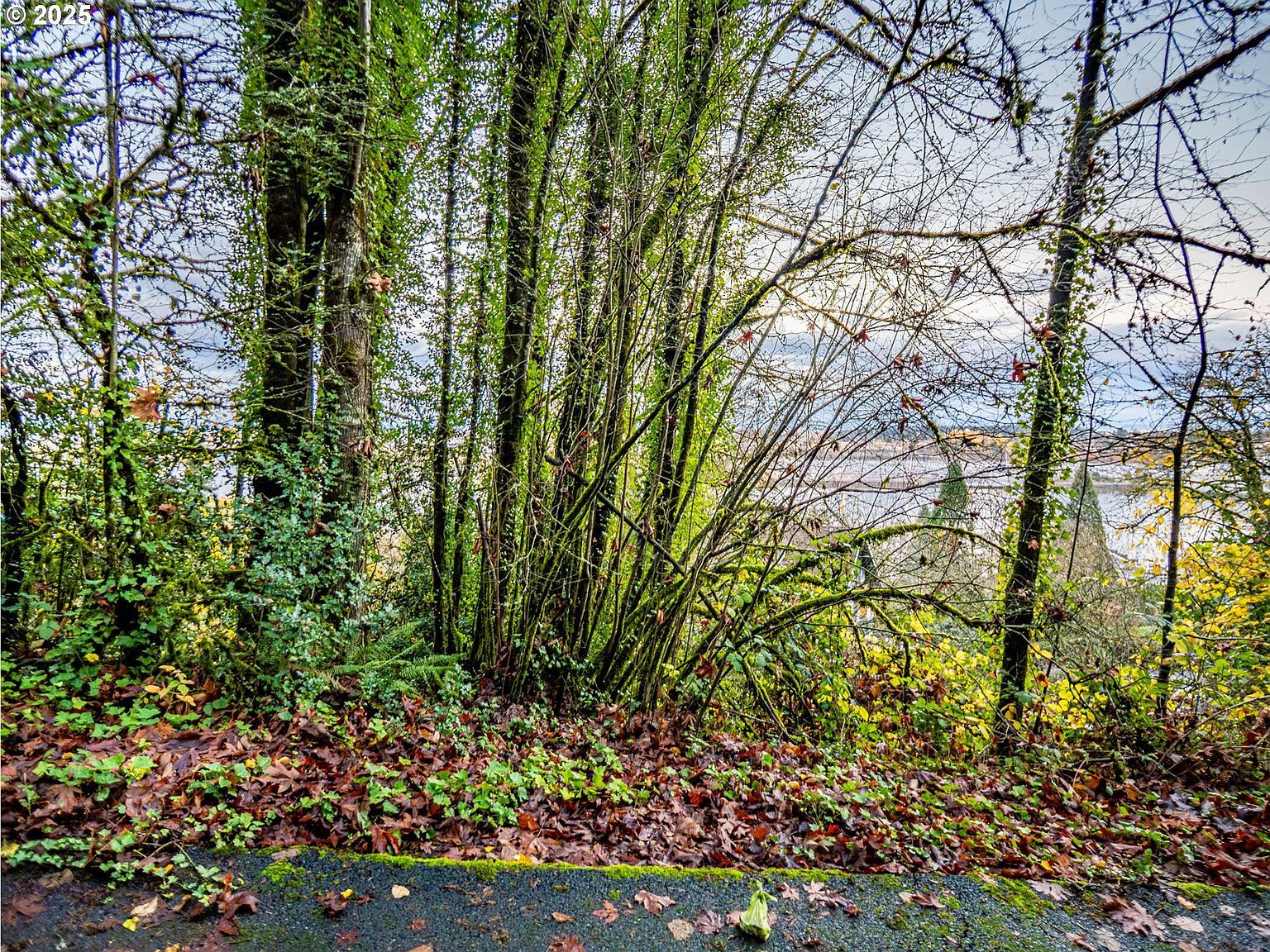 9991 NW Wilark Ave Portland, OR 97231 - Thumbnail 4