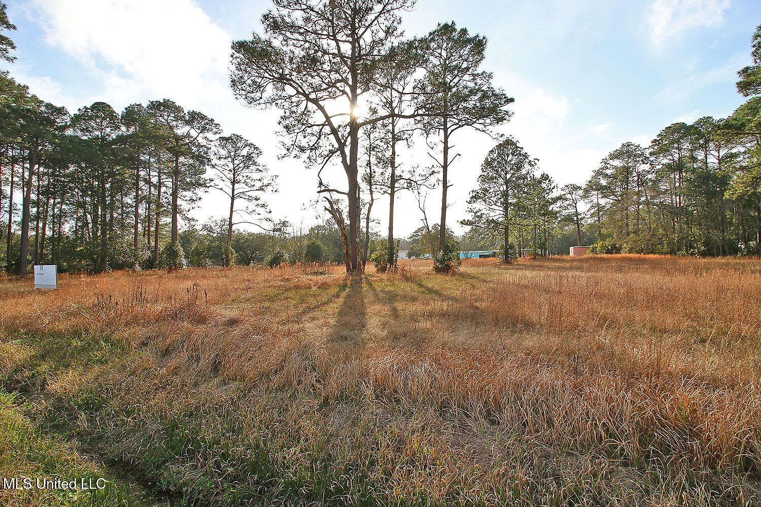Mill St LOT 17, Moss Pt, MS, 39563 - Thumbnail 4