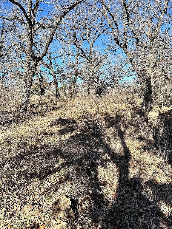 349 Oak Point Dr May, TX 76857 - Thumbnail 4