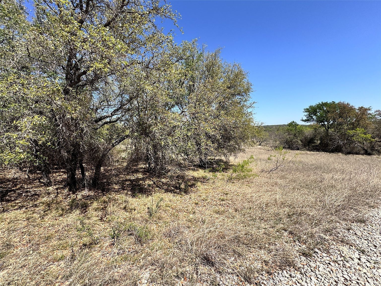 1185 Lake Hill Dr May, TX 76857 - Thumbnail 4