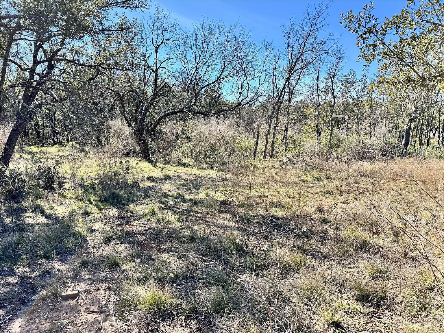 LOT 240 Feather Bay Blvd Brownwood, TX 76801 - Thumbnail 4