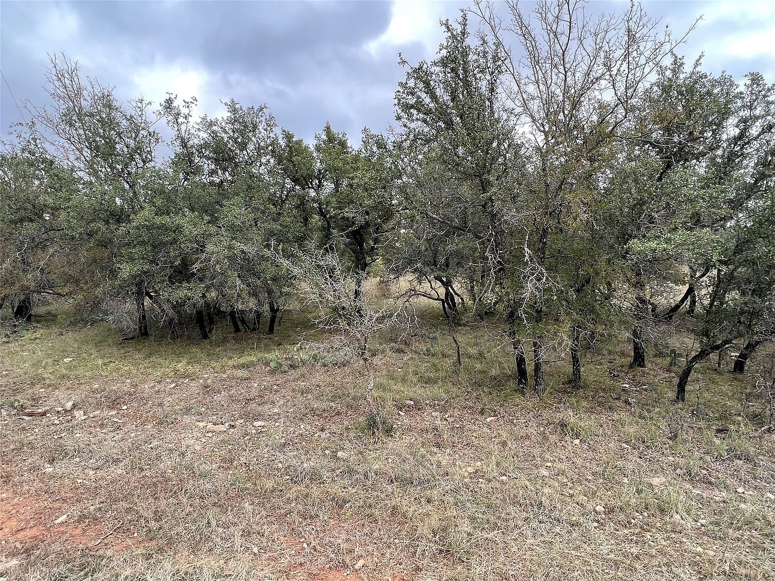 586 Oak Point Dr May, TX 76857 - Thumbnail 4