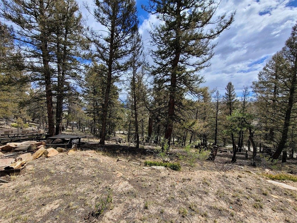 1787 Redhill Rd Fairplay, CO 80440 - Thumbnail 4