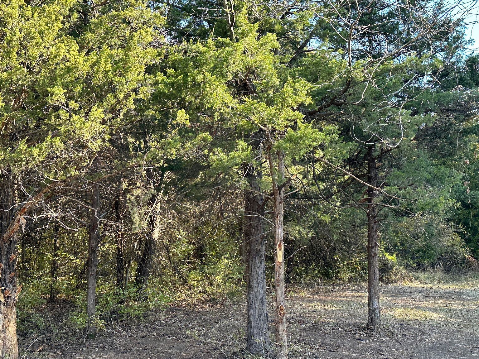 2 Audrain Rd Tract 2B Mexico, MO 65265 - Thumbnail 4