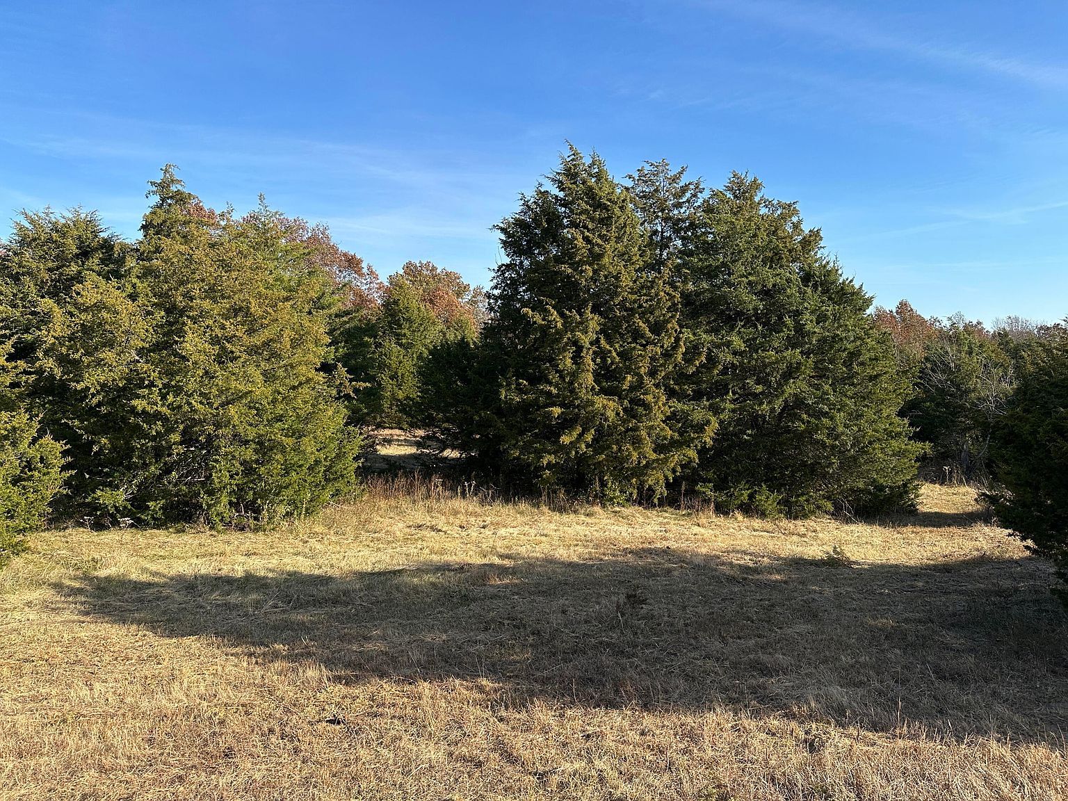 TRACT 1B Audrain Rd #935 Mexico, MO 65265 - Thumbnail 4