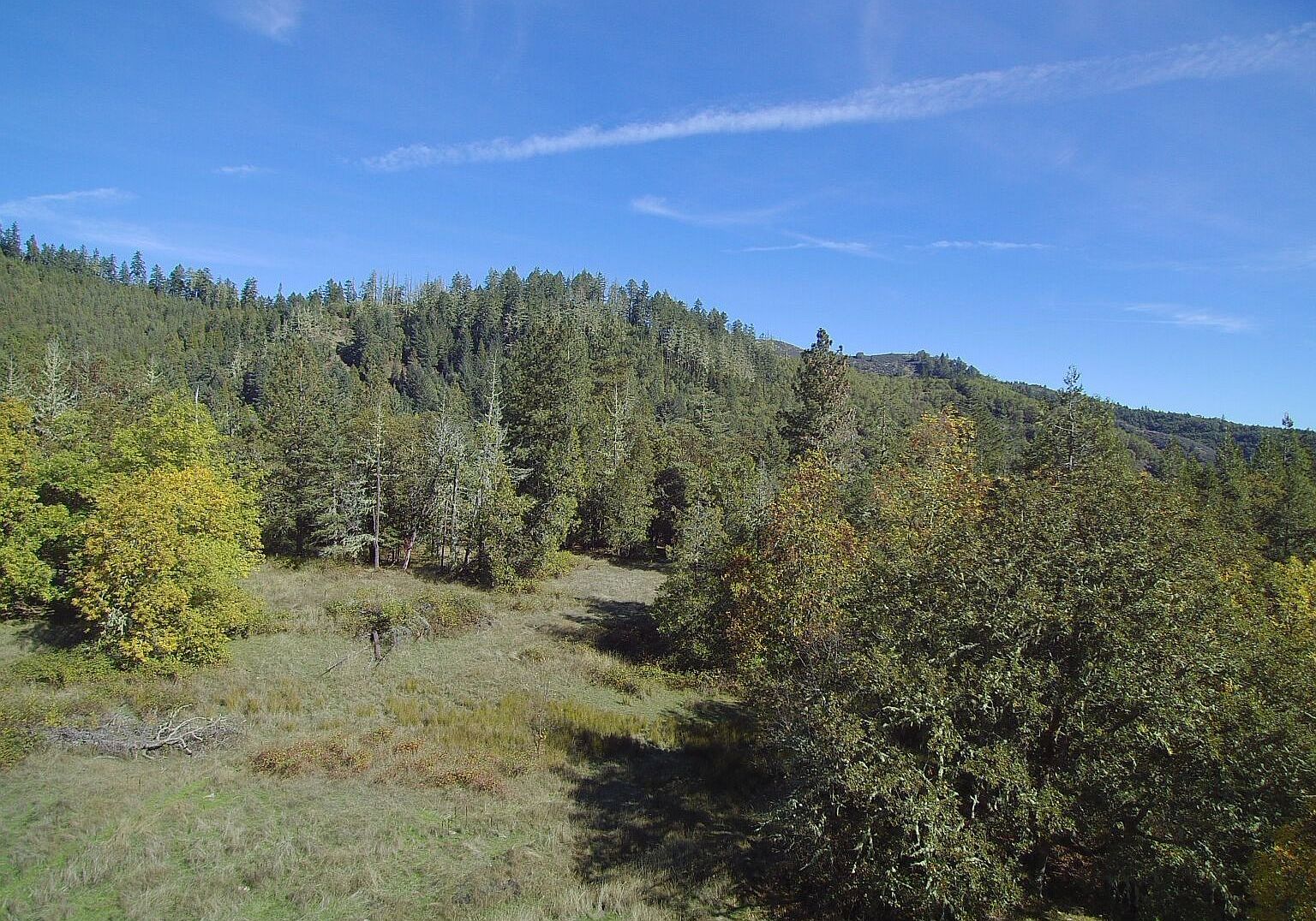 0 Bilger Creek Rd Myrtle Creek, OR 97457 - Thumbnail 4