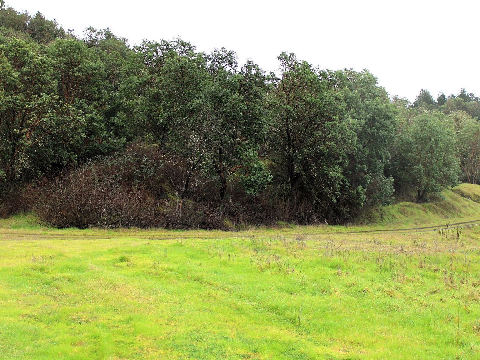 0 Horizon Ln Myrtle Creek, OR 97457 - Thumbnail 4