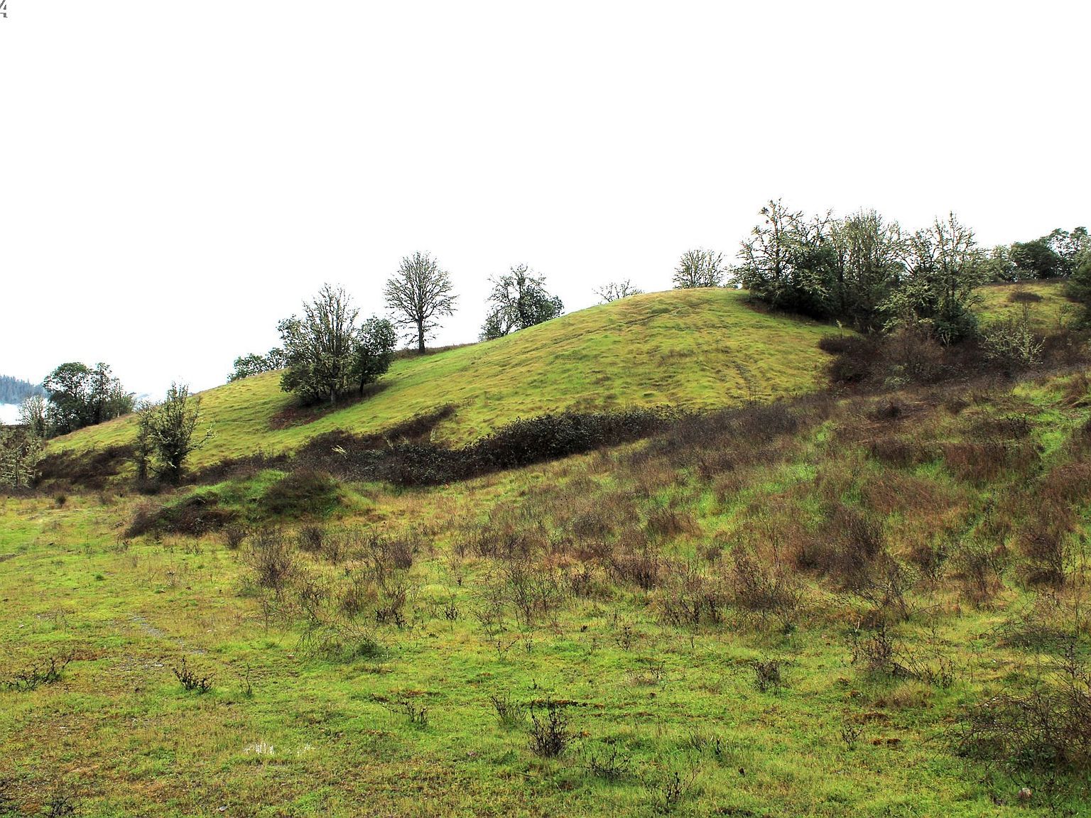 0 Yokum Rd Riddle, OR 97469 - Thumbnail 4