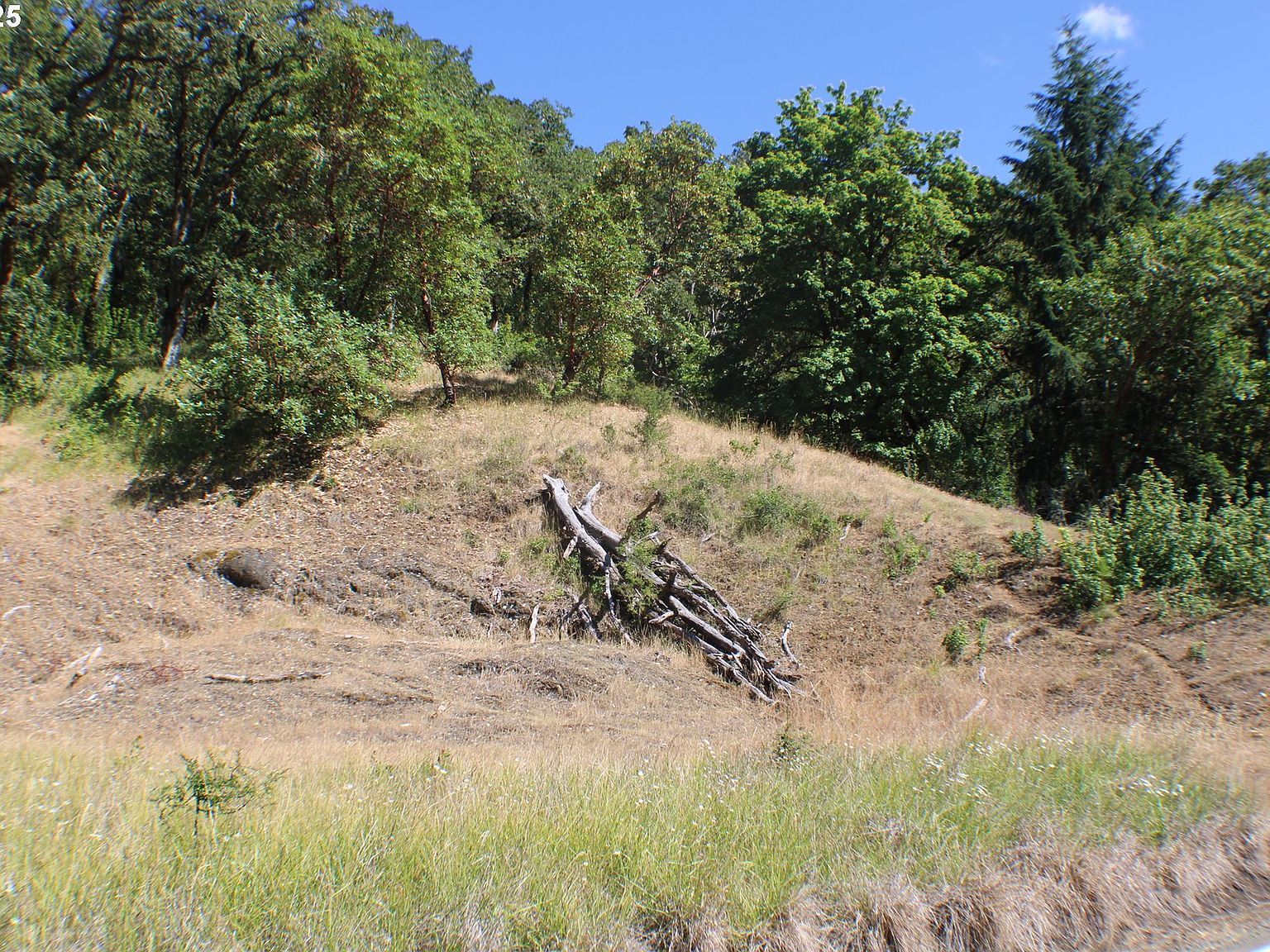 0 Sierra Dr Roseburg, OR 97471 - Thumbnail 4