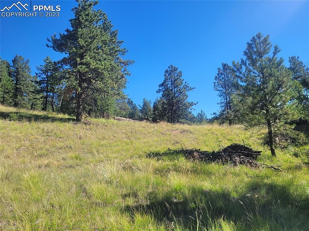 3168 N Mountain Estates Rd Florissant, CO 80816 - Thumbnail 4