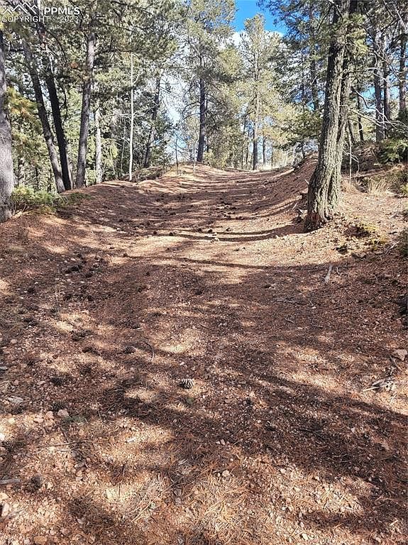 329 Paradiso Rd Divide, CO 80814 - Thumbnail 4