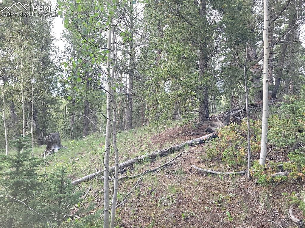 2455 Yorktown Rd Cripple Creek, CO 80813 - Thumbnail 4