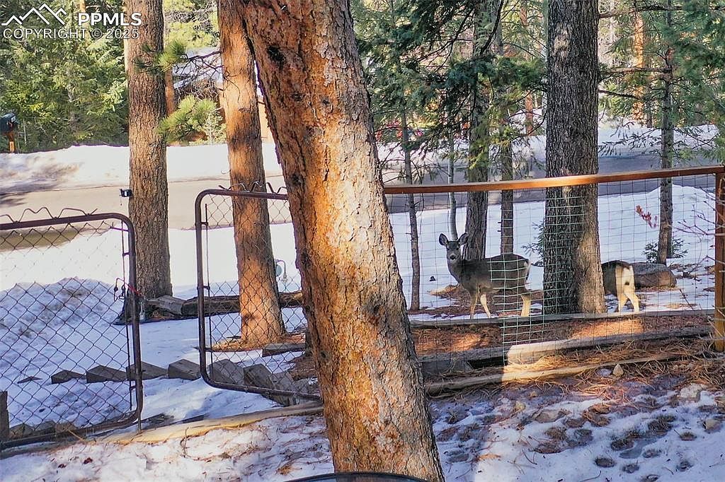 1003 Kings Crown Rd Woodland Park, CO 80863 - Thumbnail 4