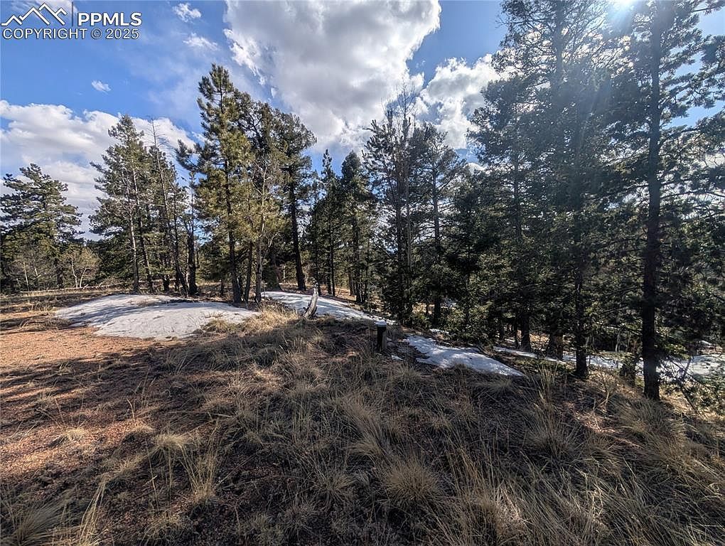 56 Rampart Cir Florissant, CO 80816 - Thumbnail 4