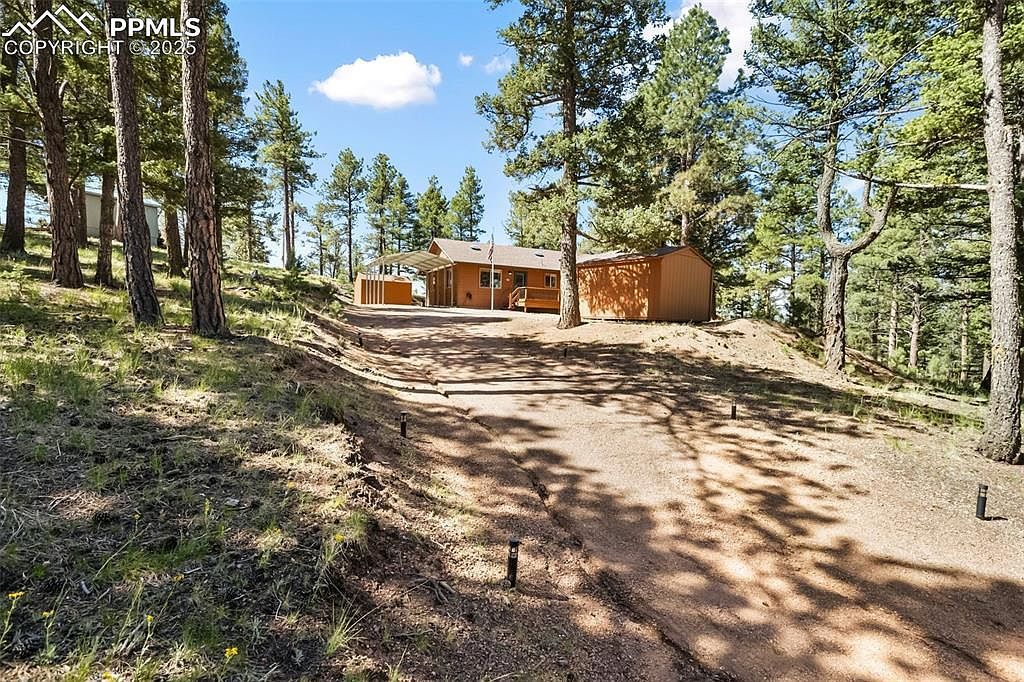 234 Wasatch Ln Florissant, CO 80816 - Thumbnail 4