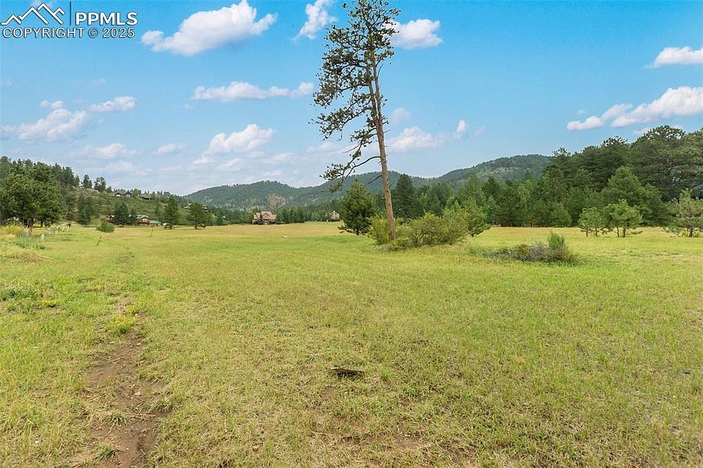 512 Brecken Ct #A Woodland Park, CO 80863 - Thumbnail 4