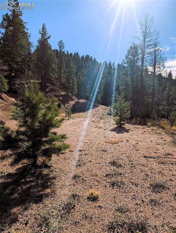 130 Lookout Rd Cripple Creek, CO 80813 - Thumbnail 4