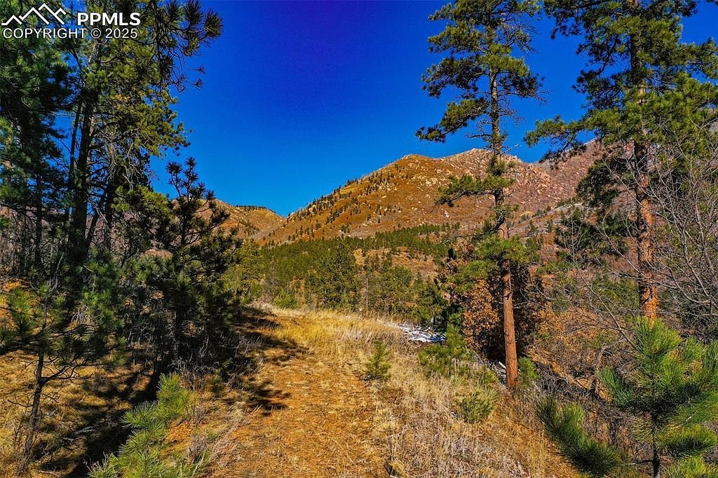 5330 Chipita Pines Dr Cascade, CO 80809 - Thumbnail 4