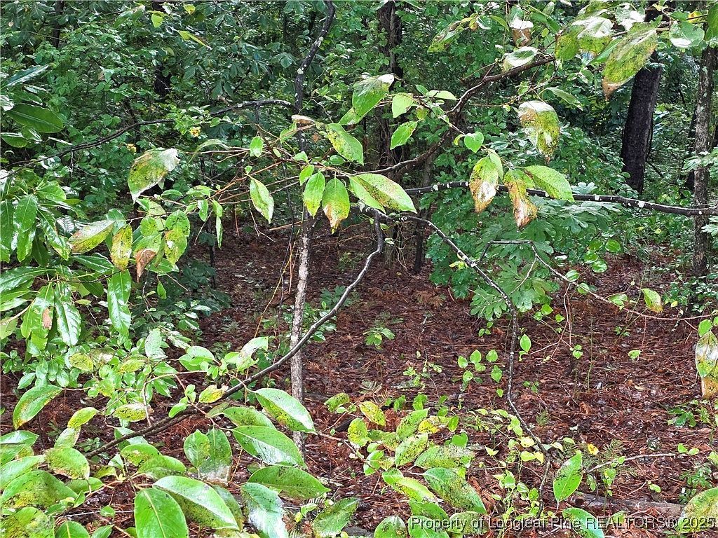 1261 Bingham Dr Fayetteville, NC 28304 - Thumbnail 4