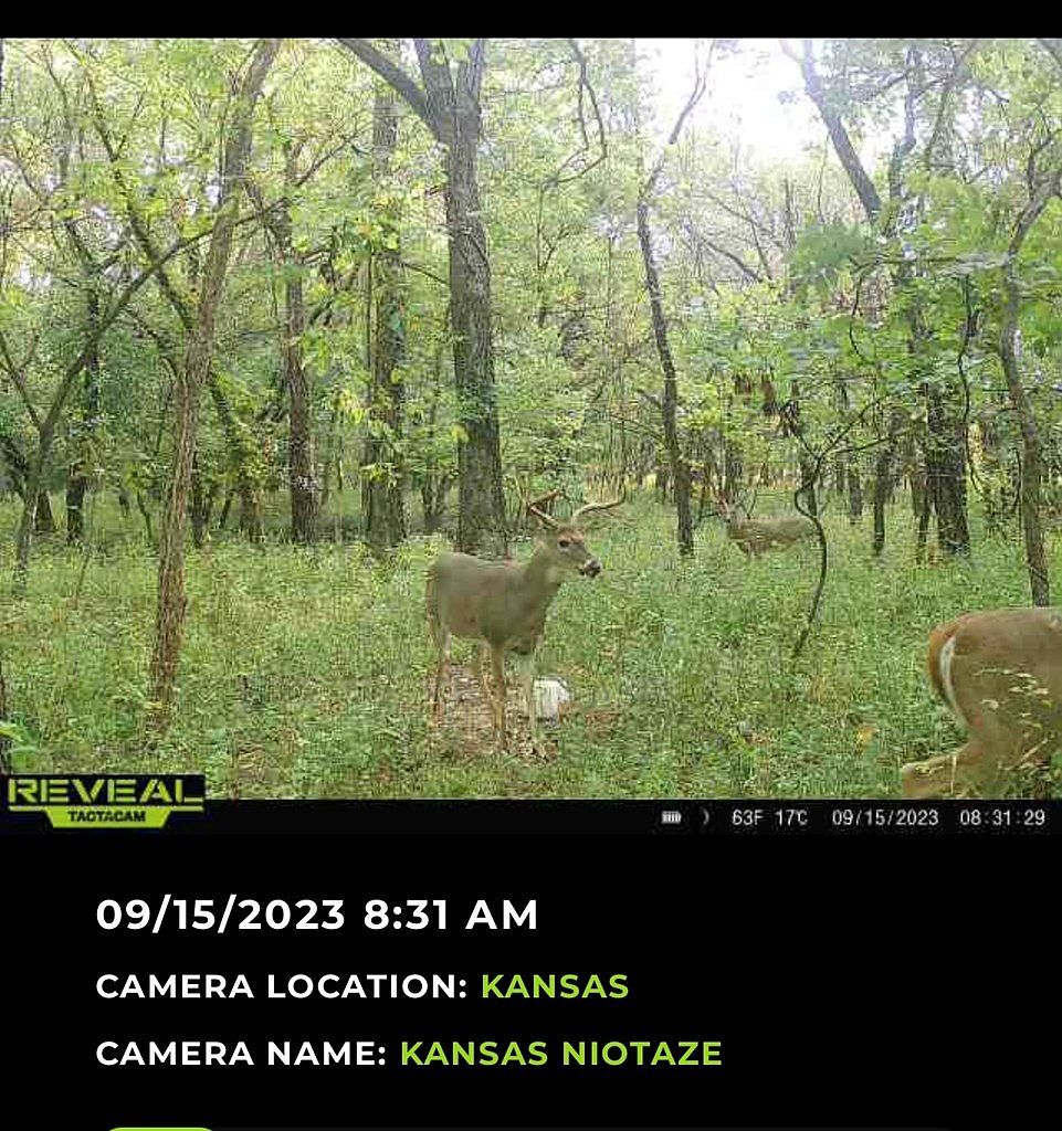 0 N G St Niotaze, KS 67355 - Thumbnail 4