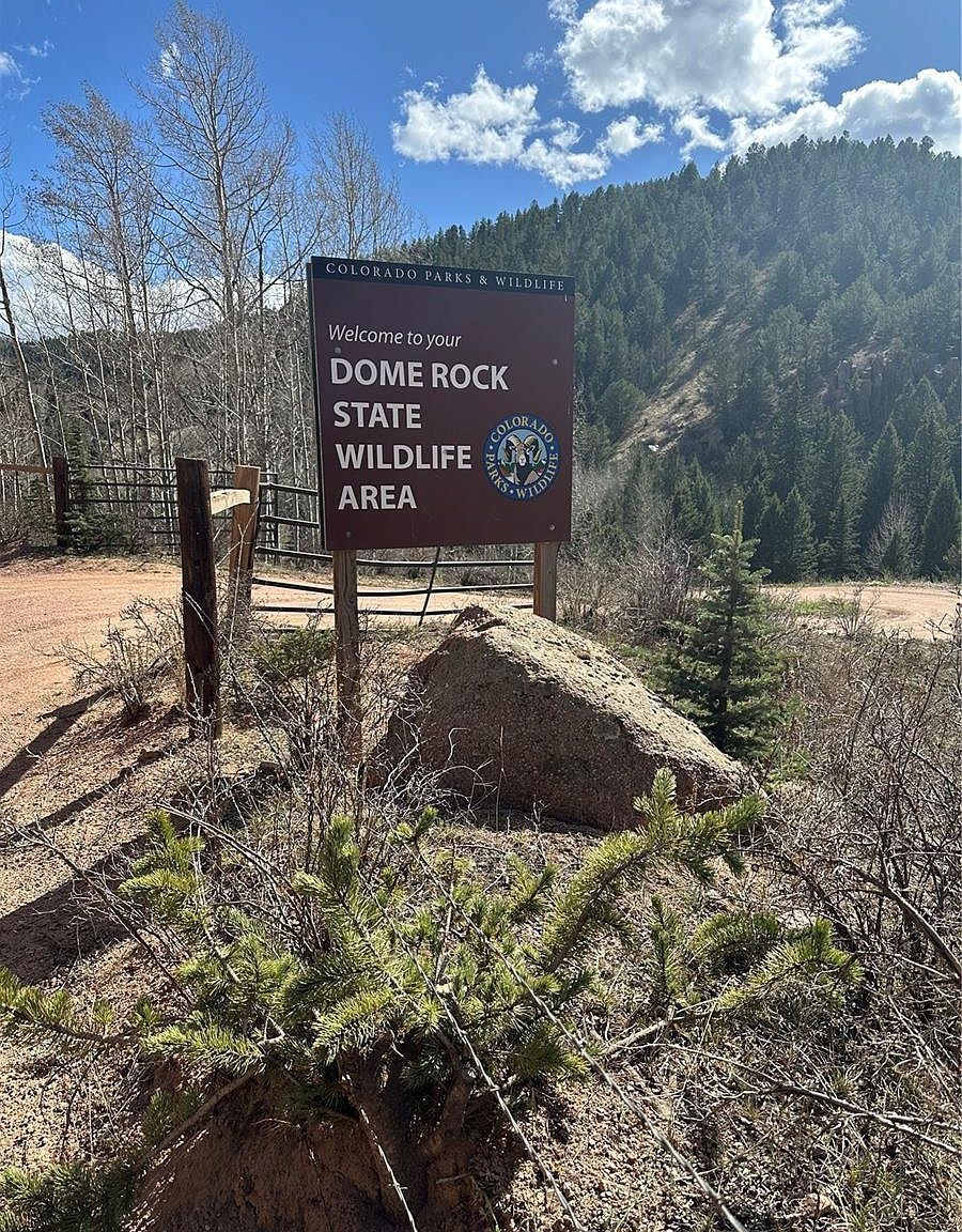 County Road 61 Dr Florissant, CO 80816 - Thumbnail 4