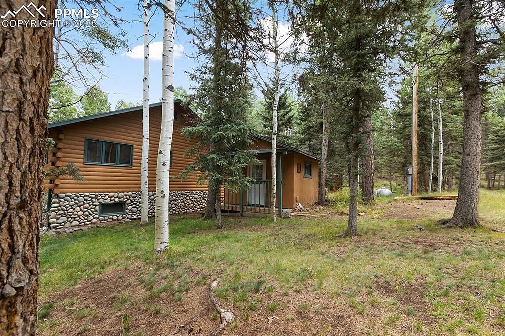 56 Blue Jay Ln Divide, CO 80814 - Thumbnail 4