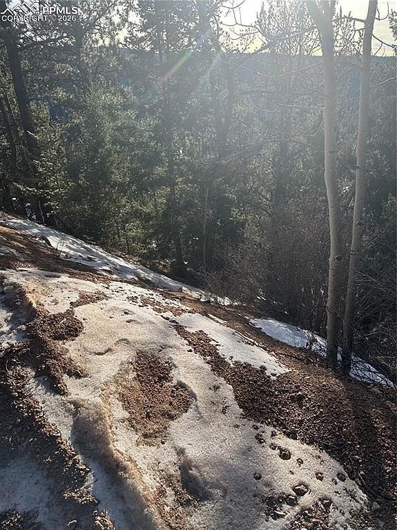 1600 Pikes Peak Dr Divide, CO 80814 - Thumbnail 4