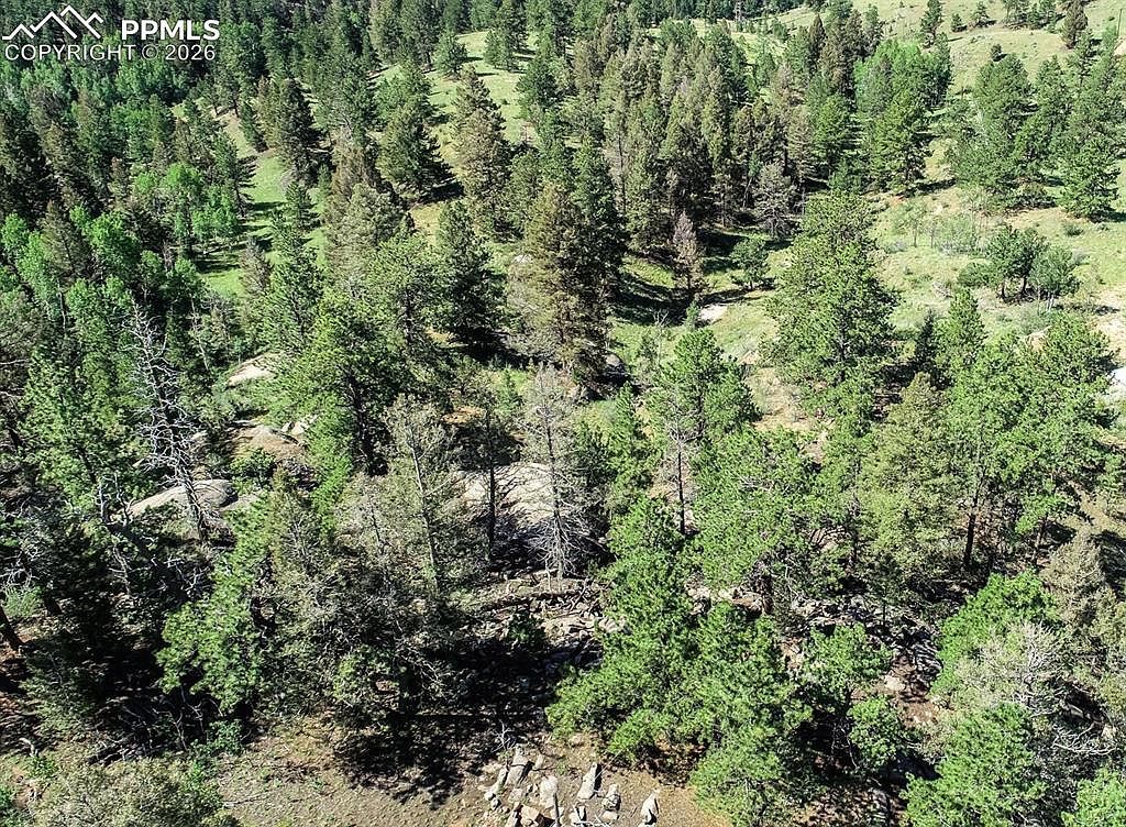 235 Hay Creek Rd Florissant, CO 80816 - Thumbnail 4