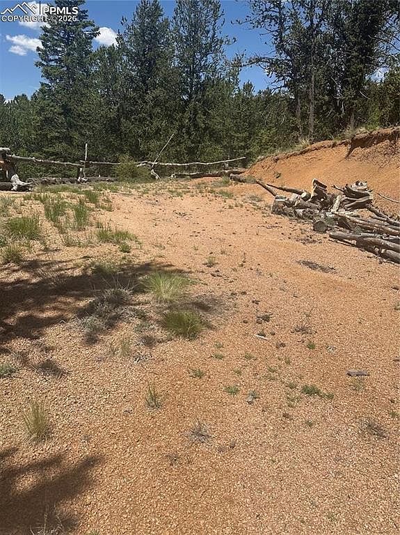 110 Brown Bear Ln Cripple Creek, CO 80813 - Thumbnail 4