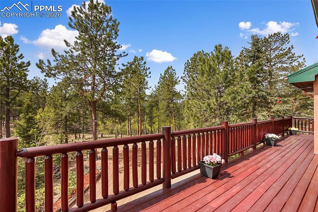 381 Saddleback Creek Dr Florissant, CO 80816 - Thumbnail 4
