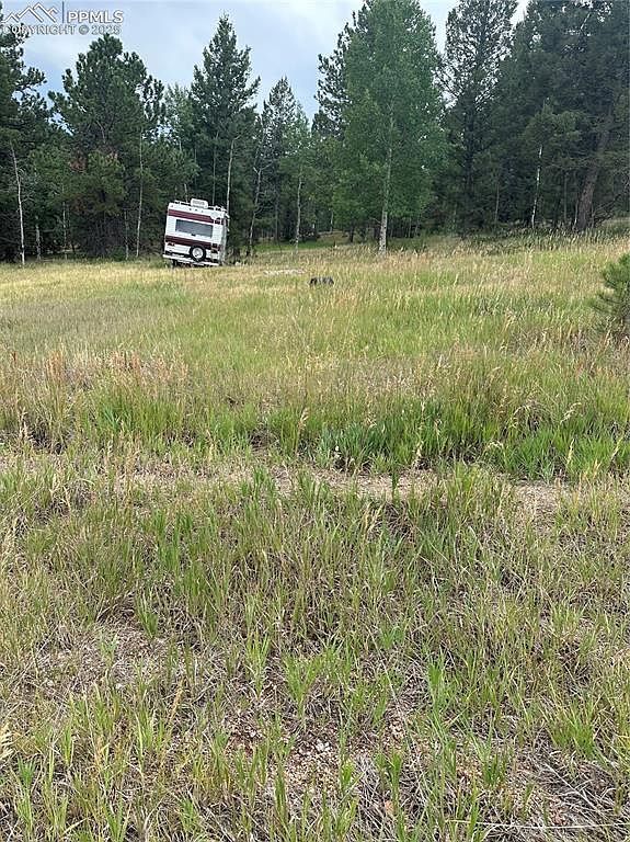 17 Deer Ridge Trl #33 Florissant, CO 80816 - Thumbnail 4