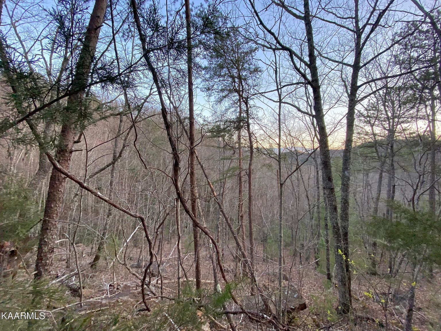 LOT 46 Beechwood Ln Sevierville, TN 37876  | Land/Lot