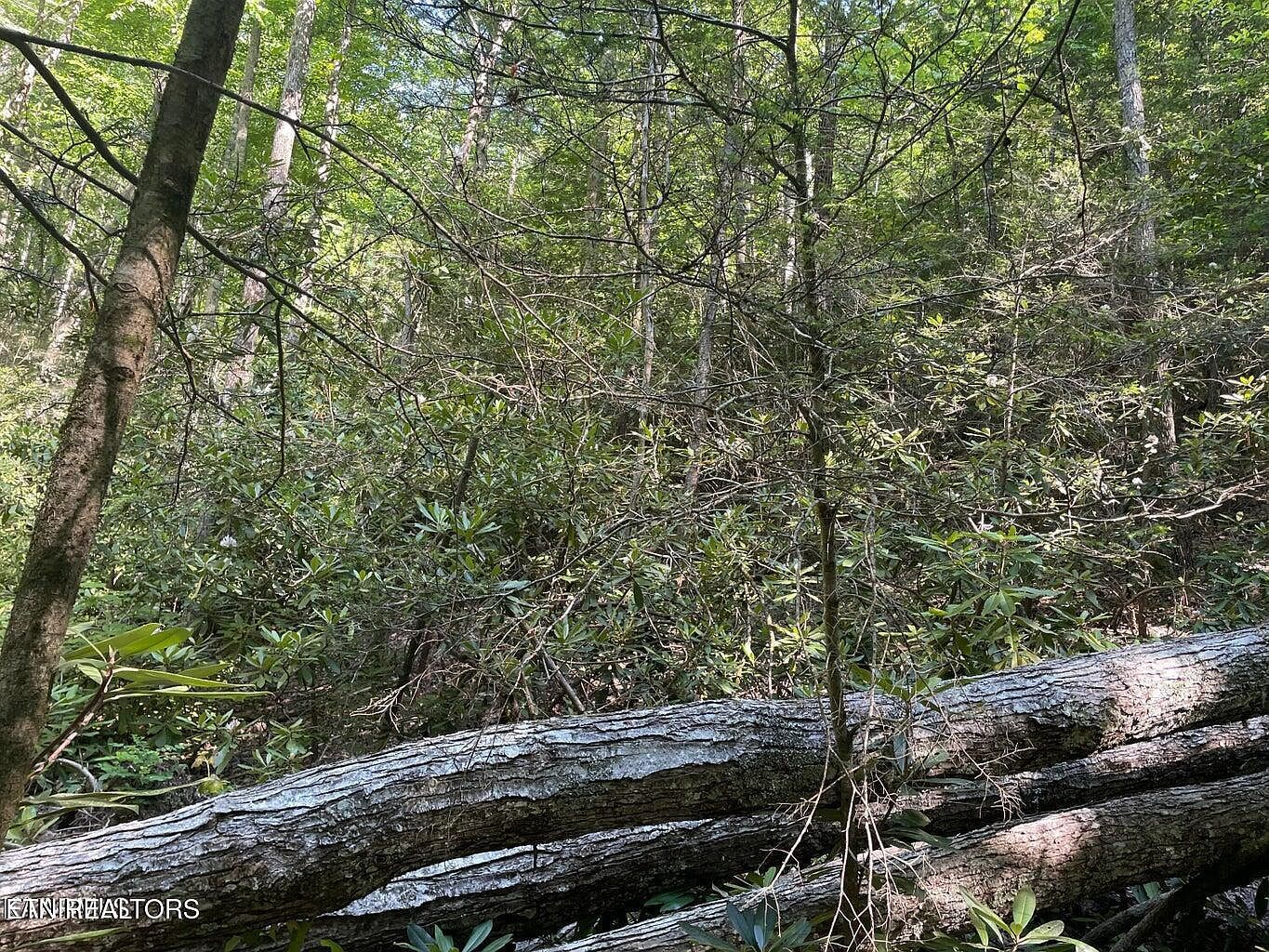 LOT 6 Sycamore St Sevierville, TN 37876 - Thumbnail 4