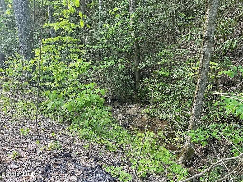 LOT 26 Alpine Dr Sevierville, TN 37876 - Thumbnail 4