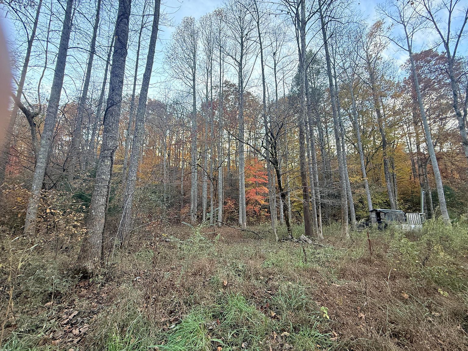 42/43 Deerfoot Rd Newport, TN 37821 - Thumbnail 4