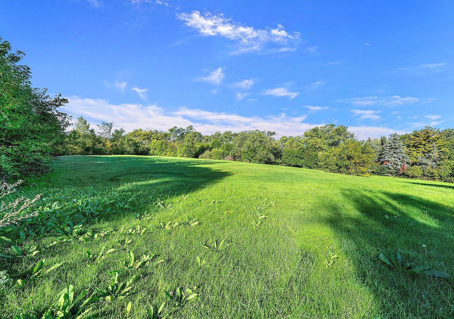 13800 S 80th Ave Orland Park, IL 60462 - Thumbnail 4